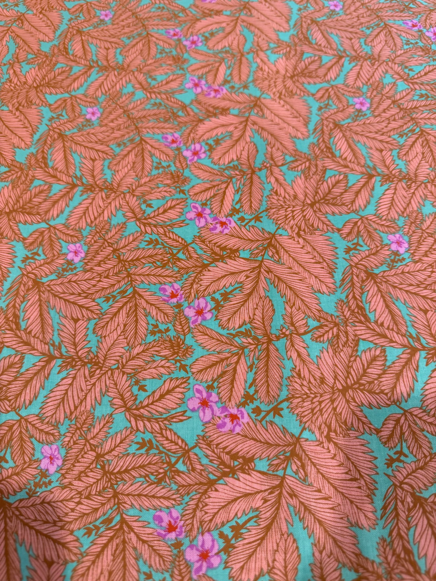 Anna Maria Horner Good Gracious – Silverweed Island Quilting Cotton Fabric – FreeSpirit – 44/45" Wide